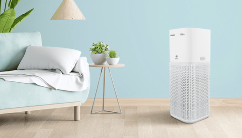 air quality testing and improvement