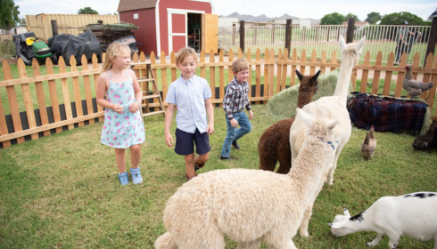 Bringing the Barnyard to Your Backyard: Why a Mobile Zoo or Farm Petting Zoo Makes Every Event Special